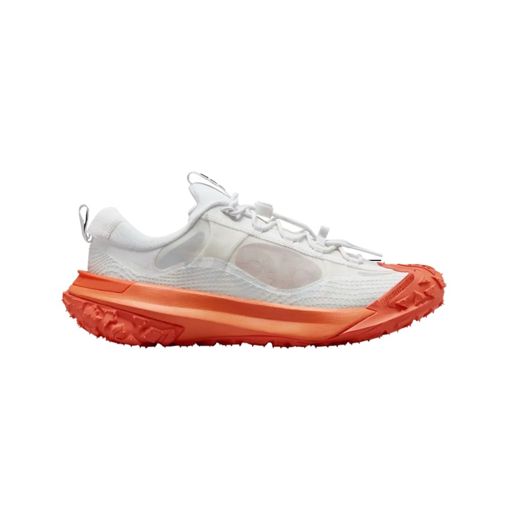 Nike ACG Mountain Fly 2 Low